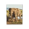 Diamond Painting - Safari - Elephant