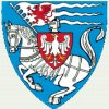 Diamond Painting - Coat of Arms, Koszalin, Poland