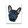 Diamond Painting - French Bulldog 4