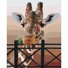 Paint by Number - Giraffe