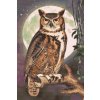 Diamond Painting - Wise Owl