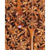 Diamond Painting - Star Anise