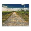 Diamond Painting - Tuscan Vineyards