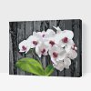 Paint by Number - White Orchid