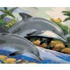 Paint by Number - Dolphins