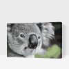 Paint by Number - Koala Bear