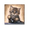 Diamond Painting - Kitten with a Camera