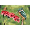 Paint by Number - Butterfly and Kingfisher