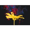 Paint by Number - Yellow Flower