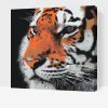 Paint by Number - Tiger
