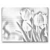 M2_Dotting_Points_-_White_Tulips