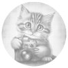 Dotting points - Kitten with a Camera