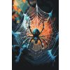 Malování podle čísel - Pavouk v síti