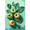 Malování podle čísel - Jablečné pozadí