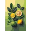 Malování podle čísel - Citrusové pozadí