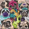 Paint by Number - Pugs