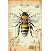 Malování podle čísel - Vše o včelách