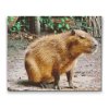 Diamond Painting - Capybara 
