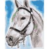 Paint by Number - White Horse