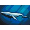 Paint by Number - Blue Whale