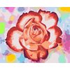 Paint by Number - Rose on a Colorful Background
