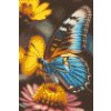 Diamantové malování - Motýl na květin