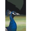 Paint by Number - Peahen