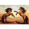 Paint by Number - Horses