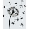 Paint by Number - Blown Dandelion