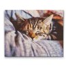 Diamond Painting - Sleeping Kitty