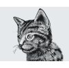 Paint by Number - Cute Black and White Kitten
