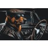 M11_Painting_by_Numbers_-_A_dog_in_a_Black_Convertible
