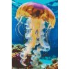 M11_Diamond_Paintings_-_Jellyfish_in_the_sea