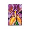 M2_Painting_by_Numbers_-_Iris_flower