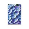 M2_Diamond_Paintings_-_Hydrangea_flower