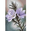 M11_Painting_by_Numbers_-_Rosemary_flower