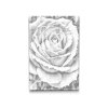 M2_Dotting_Points_-_Rose_flower