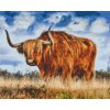 Diamond Painting - Bull on pasture