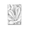 M2_Dotting_Points_-_Crocus_flower