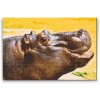 Diamond Painting - Safari Hippo