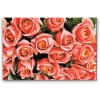 Diamond Painting - Bouguet of Roses
