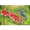 Diamond Painting - Butterfly and Kingfisher