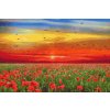 Diamond Painting - Poppy Field at Sunset