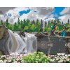 Paint by Number - Birds at the Waterfall