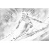 M11_Dotting_Points_-_Alpine_skiing