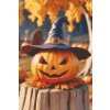 M11_Diamond_Paintings_-_Pumpkin_with_witch’s_hat