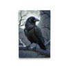 M2_Diamond_Paintings_-_Raven_on_a_branch