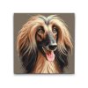 M2_Painting_by_Numbers_-_Afghan_Greyhound