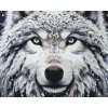 M11_Painting_by_Numbers_-_Snowy_wolf
