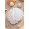 M11_Painting_by_Numbers_-_Seashells_on_the_beach